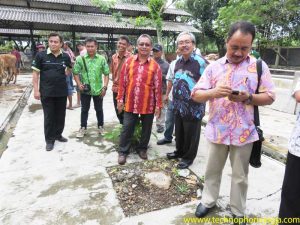 pelatihan dinas kesehatan