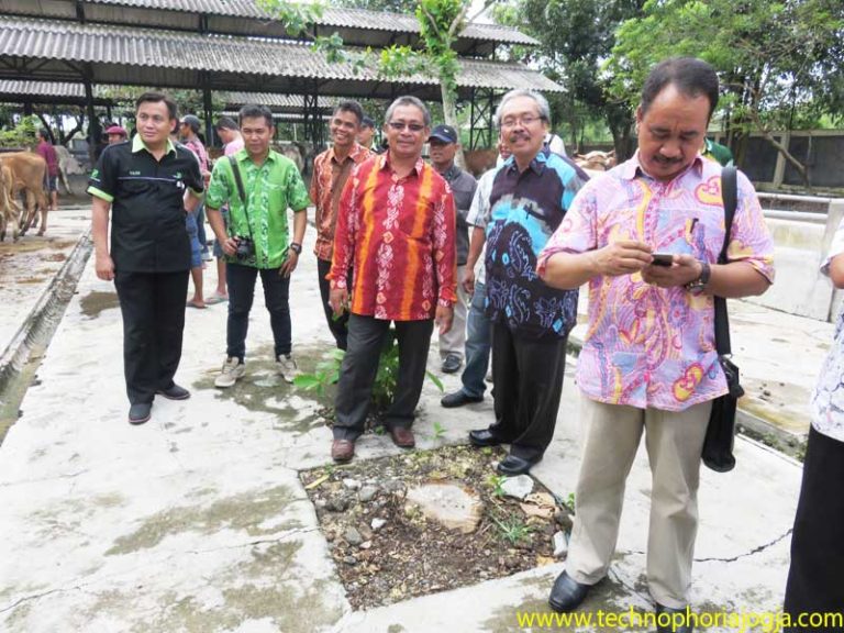 pelatihan dinas kesehatan