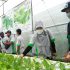 Pelatihan Peningkatan Mutu SDM Fak Pertanian UPN “Veteran” Yogyakarta
