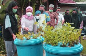 pelatihan mpp