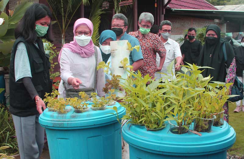 pelatihan mpp